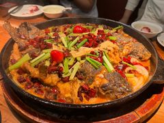 -老板恋上鱼(恒隆广场店)