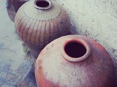 景点-溱湖国家湿地公园