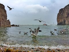 -海驴岛(荣成市)