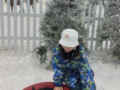 -世界之窗阿尔卑斯冰雪世界