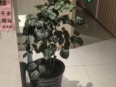 -筋骨堂热敷推拿按摩(翠华路店)
