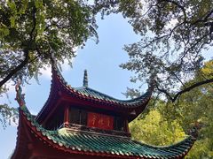 -岳麓山风景名胜区