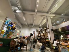 -more than meow吴止猫主题餐厅(承德 中船汇店)