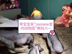 -zoonana室内动物园(东方福来德店)