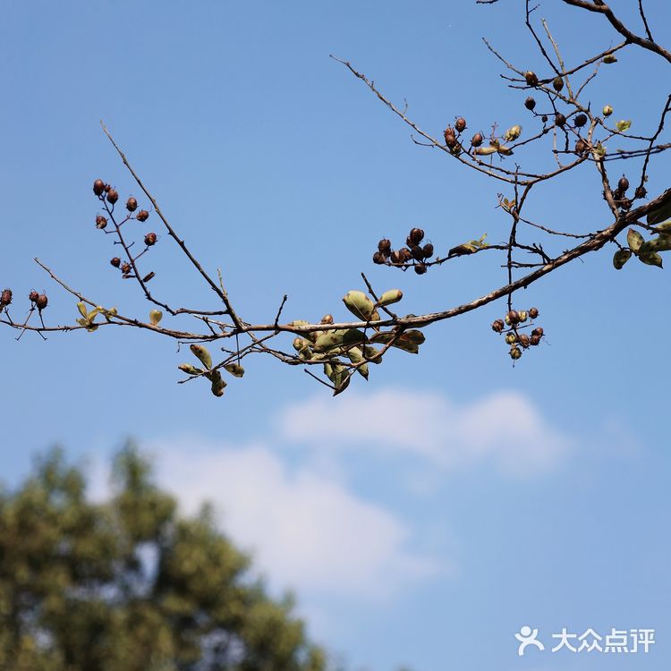 苏州曲园|这里是新江南