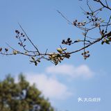 苏州曲园|这里是新江南