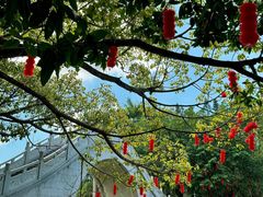 -荔枝公园(福田区)