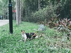 -云溪植物园