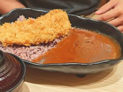 咖喱里脊猪排-胜博殿日式炸猪排(西红门店)