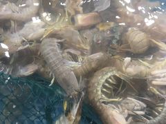 -盒马鲜生(曜一城店)