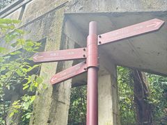 -梧桐山风景名胜区