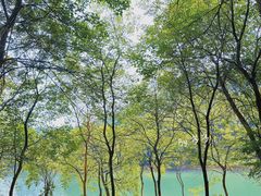 -广州白江湖森林公园