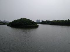 -塘沽森林公园
