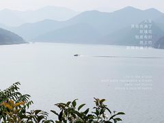 -望湖烤鱼
