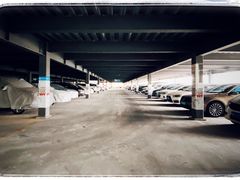 -上海植物园·停车场