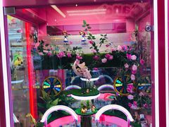 -爱玩嘉年华(江北一店)