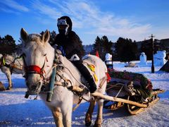 -北极村旅游风景区