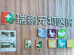 -瑞鹏宠物医院·内科·中兽医·骨科(苗圃店)