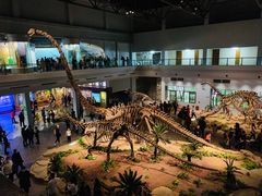 -自贡恐龙博物馆