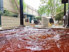 -春晖园度假酒店温泉