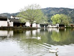 -呈坎景区