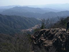 -王顺山国家森林公园