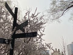 -迎泽公园