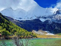 -稻城亚丁景区-冲古草甸