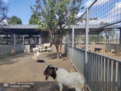 -迪茵湖田家舍生态农场