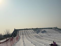 -绿野森林乐园冰雪季