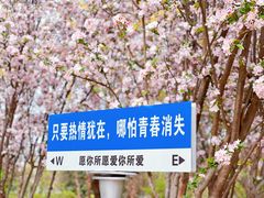 -陕西省西安植物园