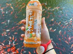 -太白山御龙湾温泉