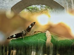 -国家植物园