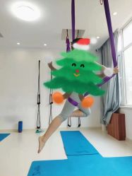-威思丽瑜伽普拉提