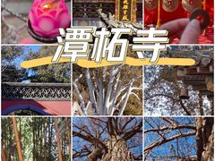 -潭柘寺景区