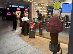 -米兰马尔彭萨国际机场