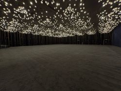 -西安威斯汀大酒店·宴会厅