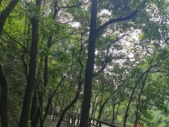 -阿哈湖国家湿地公园