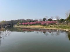 -同里国家湿地公园