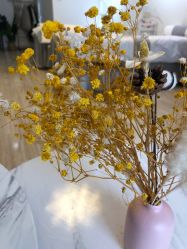 -纹绣阁·纹眉眼唇品牌