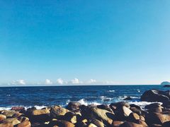 -广东惠东海龟国家级自然保护区