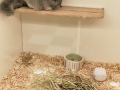 -龙猫仔乐园(惠福东路店)