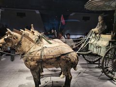 -秦始皇帝陵博物院-丽山园