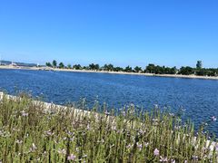 -莫内艺术岛海景咖啡