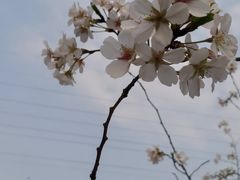 -重庆彩云湖湿地公园