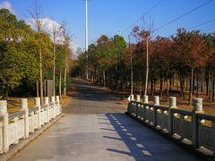 -上海海湾国家森林公园