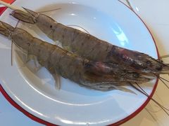 -费明中罗非鱼(大石坝店)