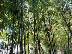 -一叶觅山(半边街店)