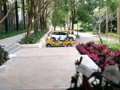 -iFIT真人CS彩弹野战基地