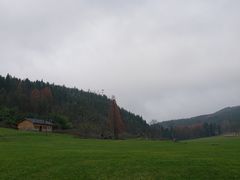 -武陵山森林公园